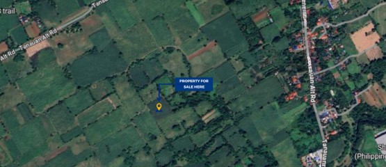 Rawland for sale in Tanauan, Batangas
